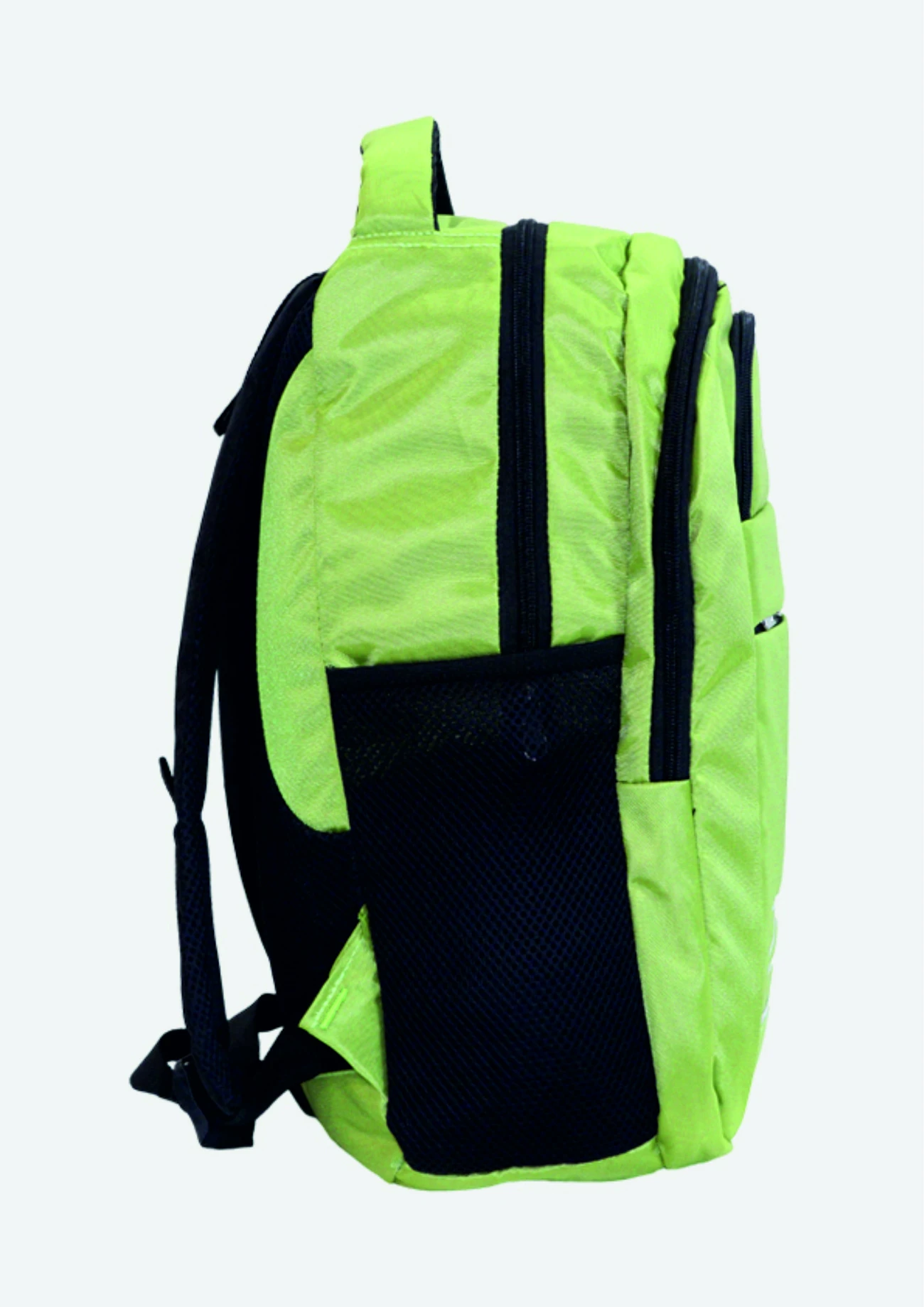 Shiv Naresh Backpack Parrot Green
